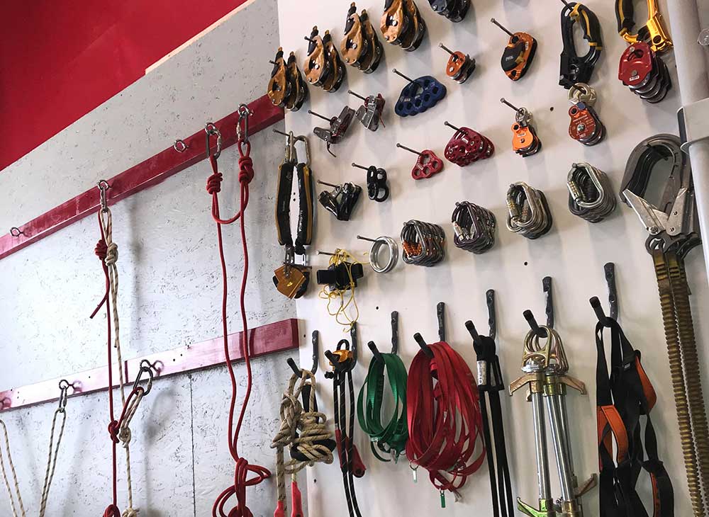 Specialized Access Services